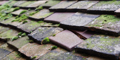 Little Downham roof repair costs